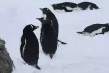 zdjęcie wykonane przez uczestników Stażu