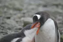 Photo © Dr. Lucas Krüger (private archive)