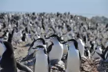 Photo © Dr. Lucas Krüger (private archive)