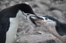 Photo © Dr. Lucas Krüger (private archive)