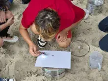 ​Pierwsza tura warsztatów 