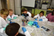 Zajecia labolatoryjne w sali w trakcie warsztatów „ScienceCamp”