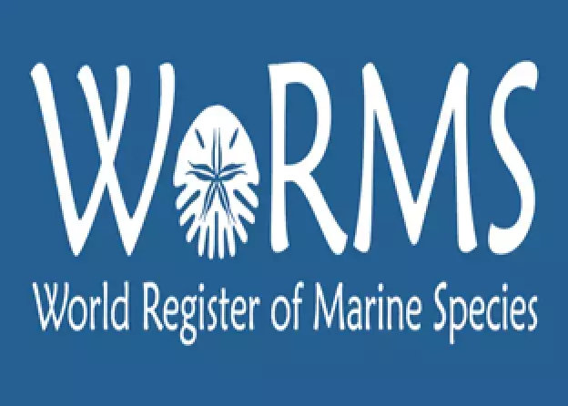 dr Maciej Mańko edytorem WoRMs