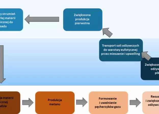 Emisja metanu z dna jako mechanizm zwiększający stężenie soli odżywczych w toni wodnej