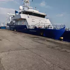 Prace terenowe: foto Kamila Styrcz-Olesiak
