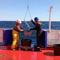Prace terenowe: foto Urszula Janas