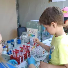 Zajęcia w trakcie pikniku naukowego