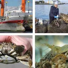 2025-12-04_PTG-i-GTN_Monika-Normant-Saremba