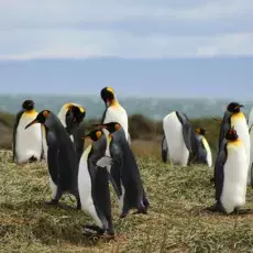 fotorelacja zdjęcie wykonane przez uczestników Stażu
