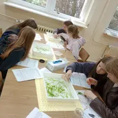 Zajecia labolatoryjne w sali w trakcie warsztatów „W cieniu trawy morskiej” 