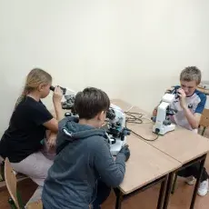 Zajecia labolatoryjne w sali w trakcie warsztatów „W cieniu trawy morskiej”
