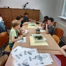 zdjecie